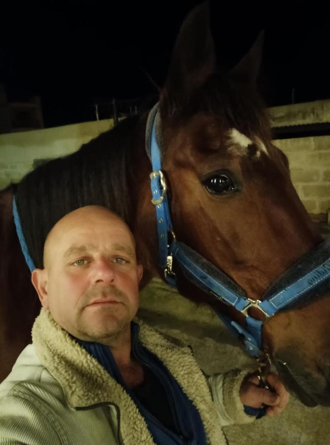 White Stallion Mellieħa Eksteriør bilde