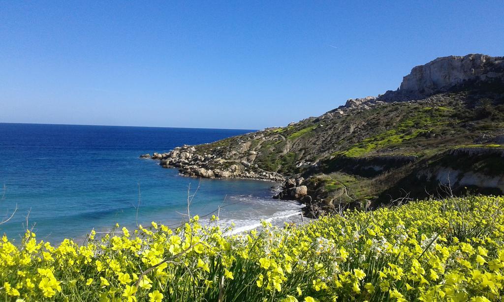 White Stallion Mellieħa Eksteriør bilde
